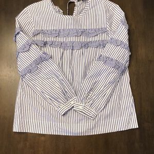 Blue and White Jcrew Blouse
